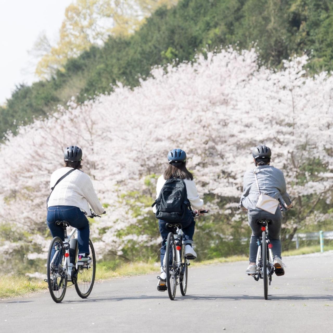 Kona Stay Bicycle Resort Izunokuni Extérieur photo