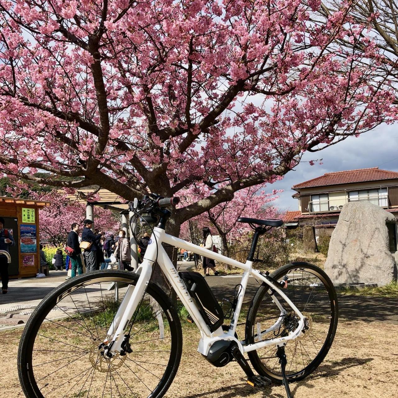 Kona Stay Bicycle Resort Izunokuni Extérieur photo